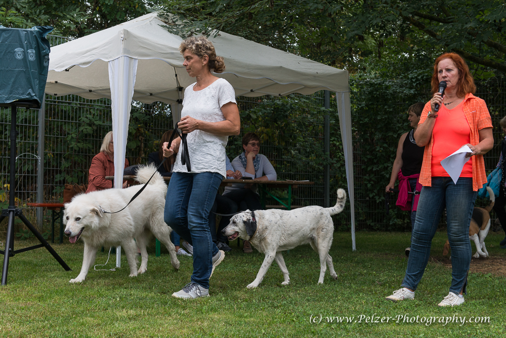 THWI_80D5258_04Sep2016