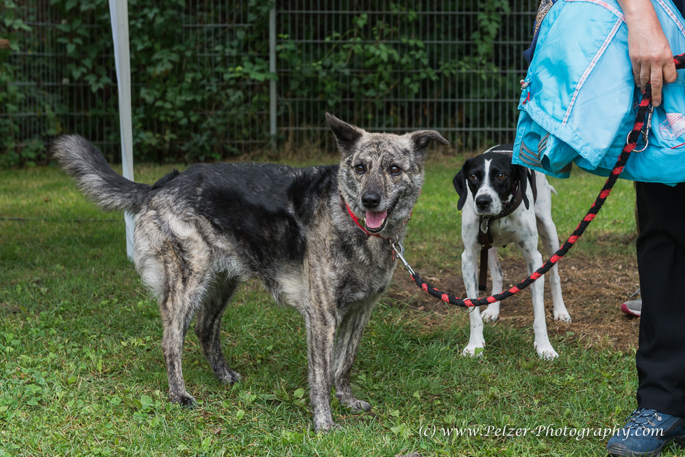 THWI_80D5262_04Sep2016