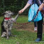 THWI_80D5265_04Sep2016