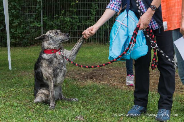 THWI_80D5265_04Sep2016