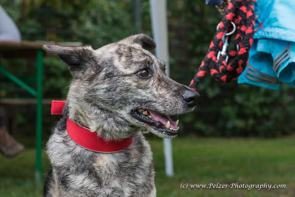 THWI_80D5273_04Sep2016