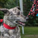 THWI_80D5273_04Sep2016