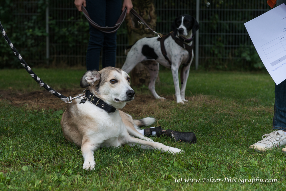 THWI_80D5277_04Sep2016