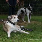 THWI_80D5277_04Sep2016