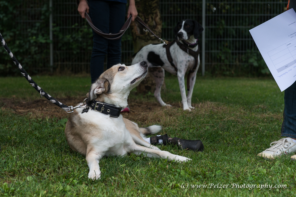 THWI_80D5280_04Sep2016