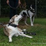 THWI_80D5280_04Sep2016