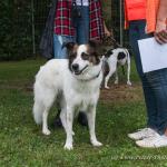 THWI_80D5285_04Sep2016