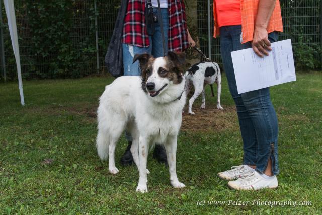 THWI_80D5285_04Sep2016