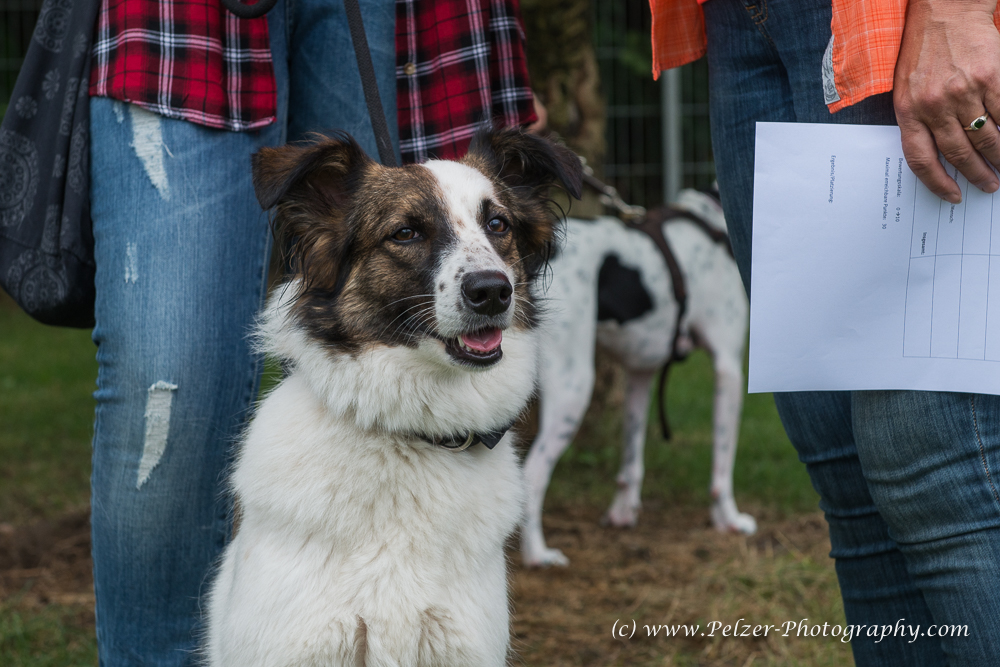 THWI_80D5286_04Sep2016