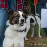 THWI_80D5286_04Sep2016