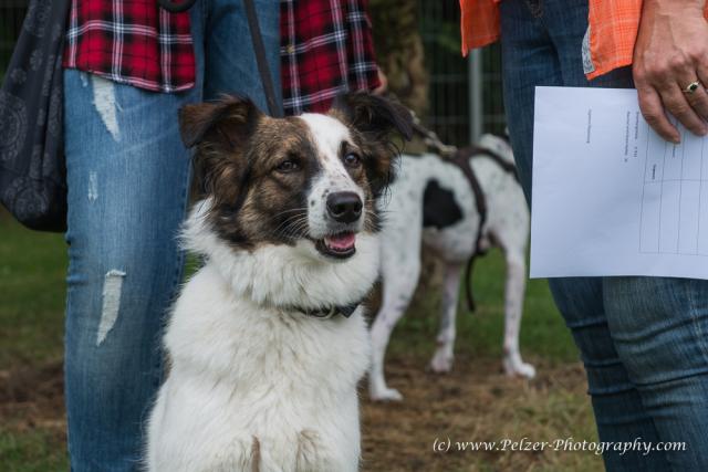 THWI_80D5286_04Sep2016