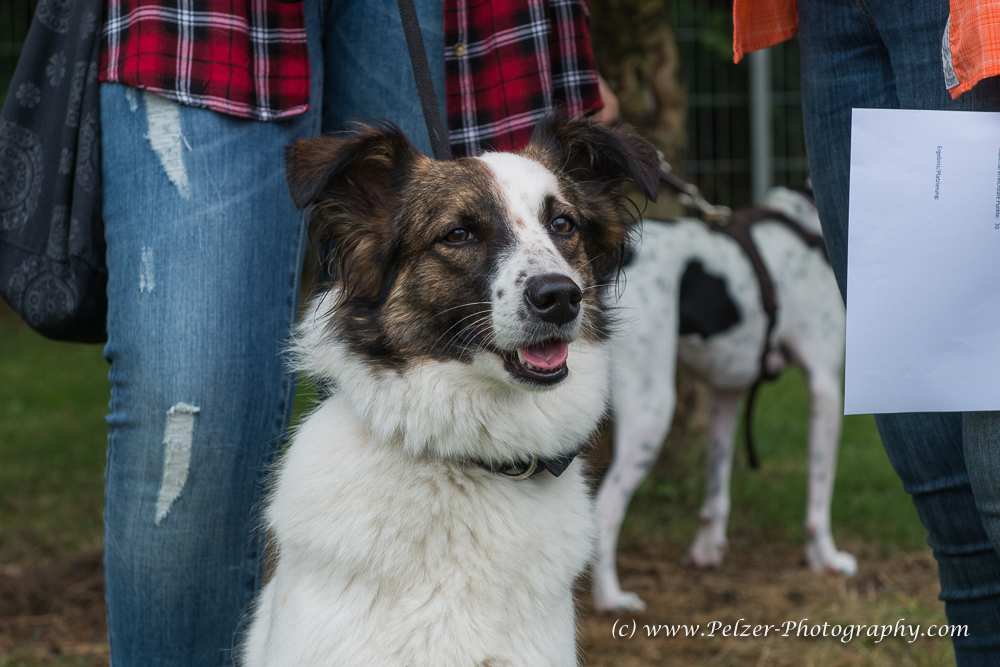 THWI_80D5287_04Sep2016