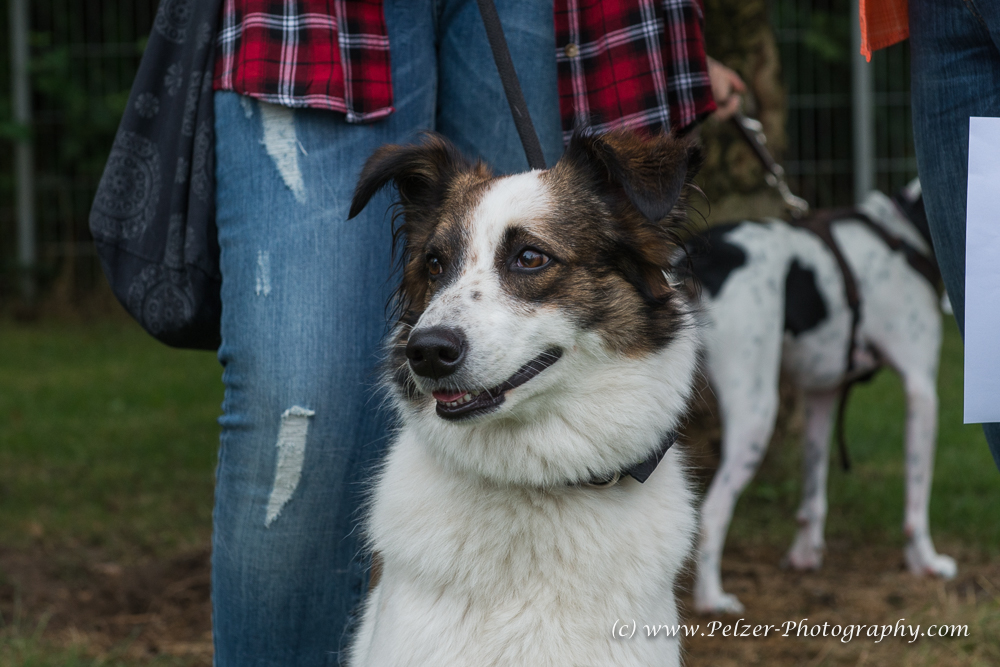 THWI_80D5288_04Sep2016