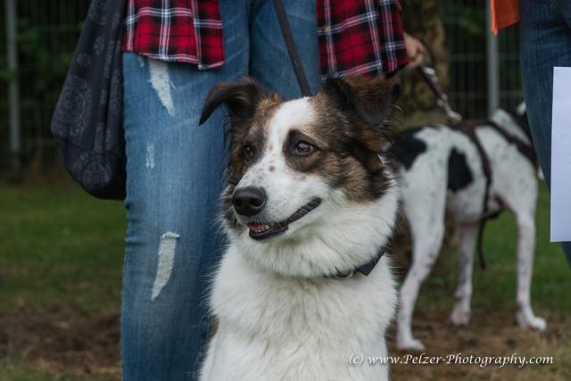 THWI_80D5288_04Sep2016