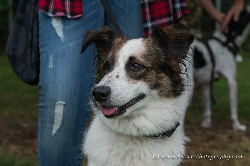 THWI_80D5293_04Sep2016