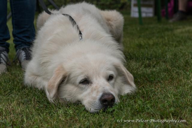 THWI_80D5295_04Sep2016