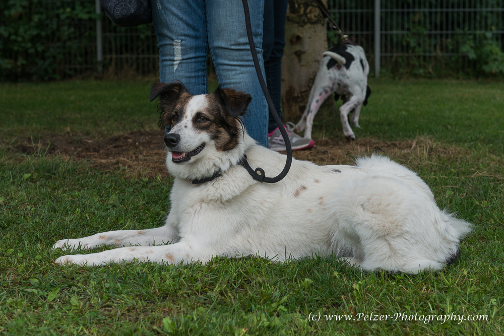 THWI_80D5297_04Sep2016