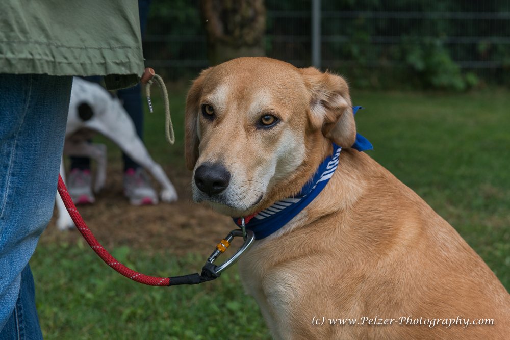 THWI_80D5298_04Sep2016