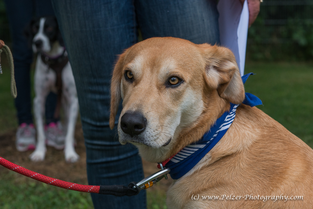 THWI_80D5300_04Sep2016