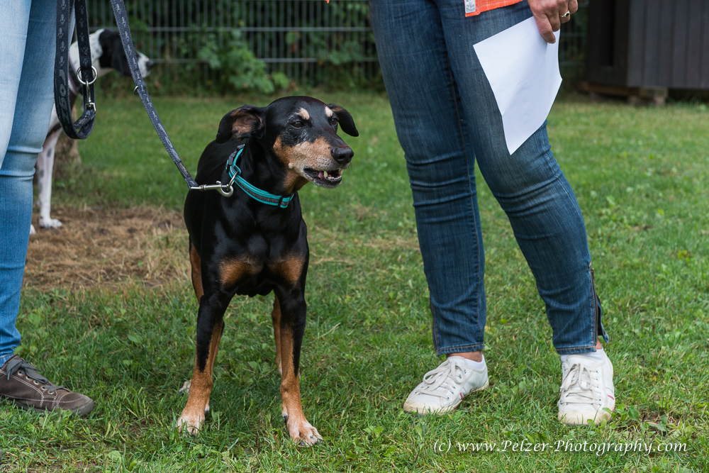 THWI_80D5307_04Sep2016