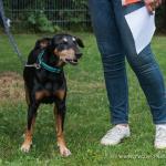 THWI_80D5307_04Sep2016