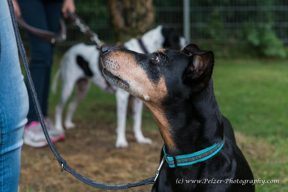 THWI_80D5309_04Sep2016