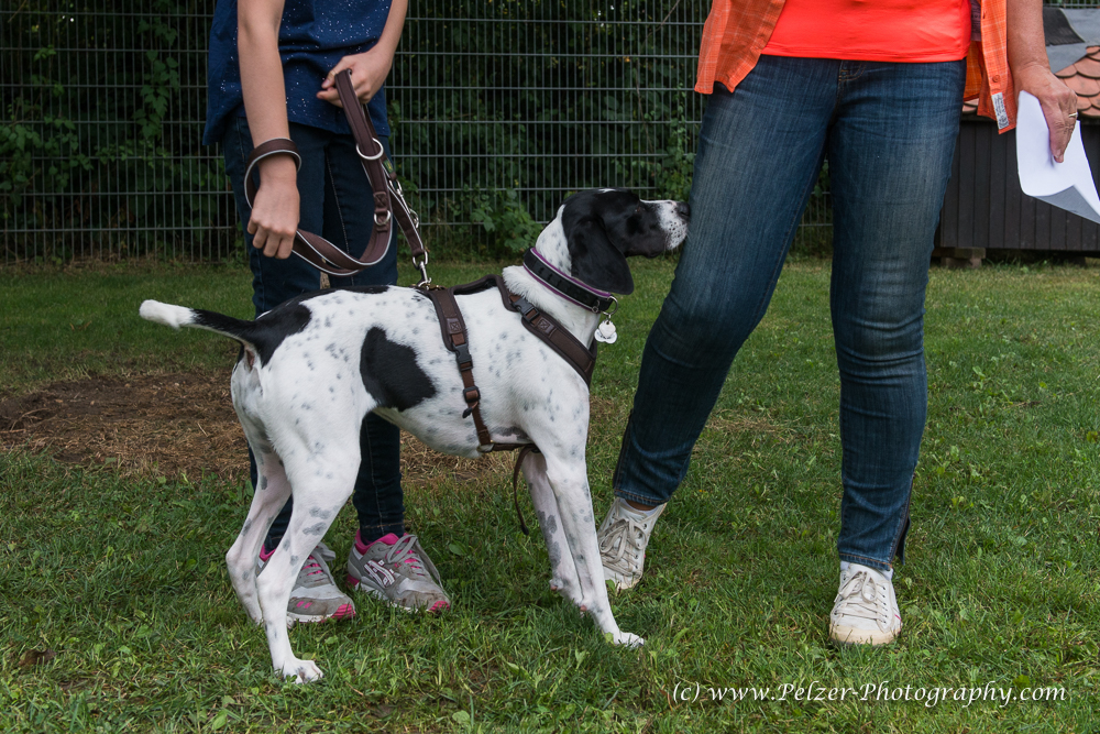 THWI_80D5315_04Sep2016