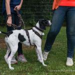 THWI_80D5315_04Sep2016