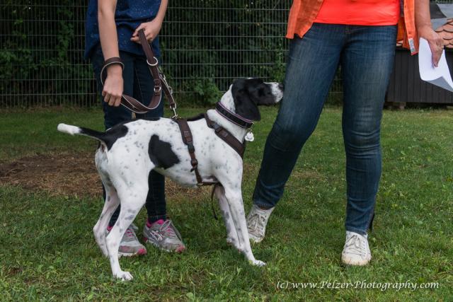 THWI_80D5315_04Sep2016