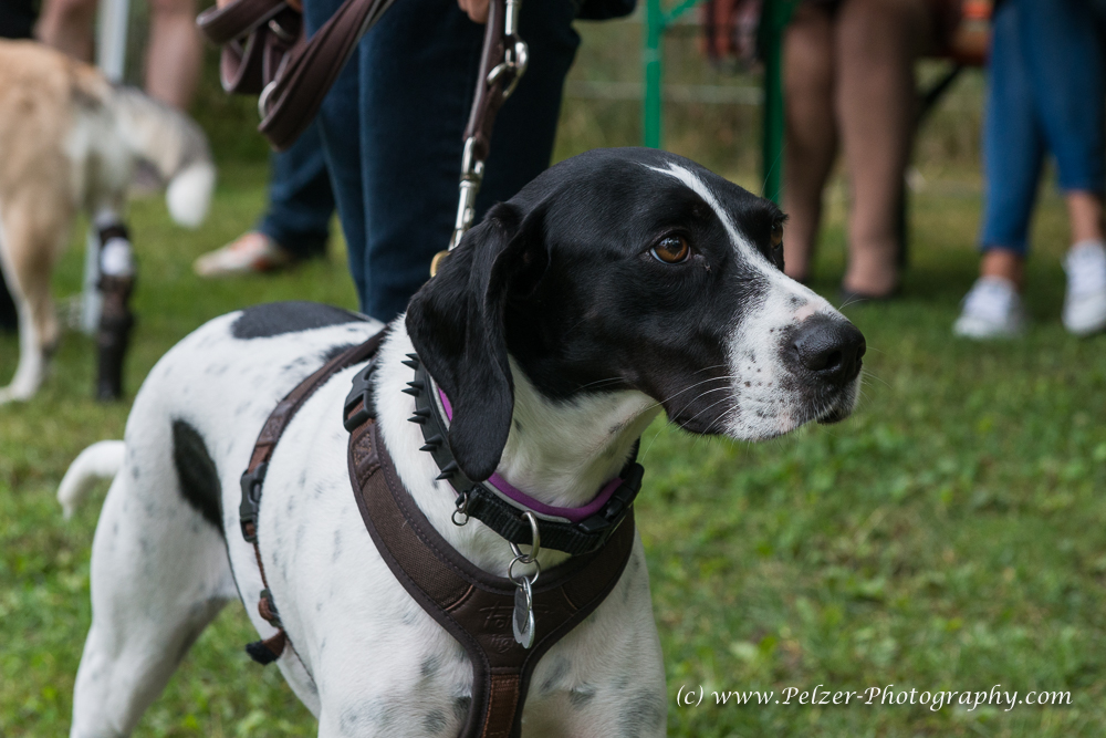 THWI_80D5316_04Sep2016