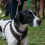 THWI_80D5316_04Sep2016