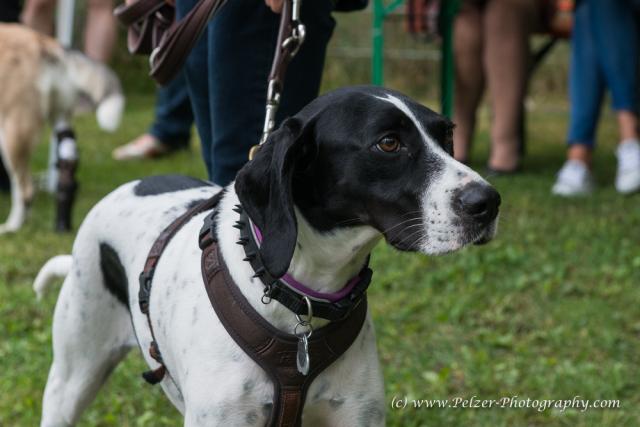 THWI_80D5316_04Sep2016