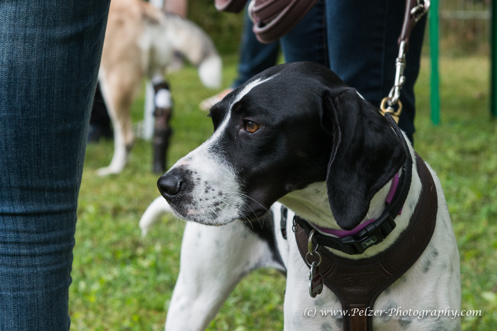 THWI_80D5318_04Sep2016