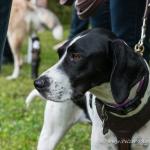 THWI_80D5318_04Sep2016