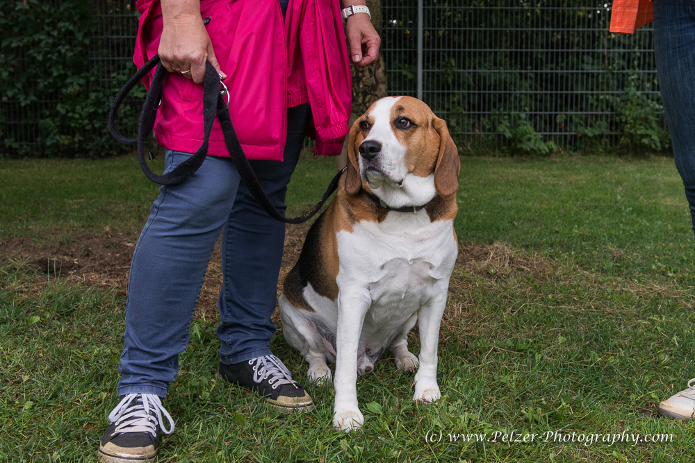 THWI_80D5325_04Sep2016