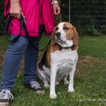 THWI_80D5325_04Sep2016