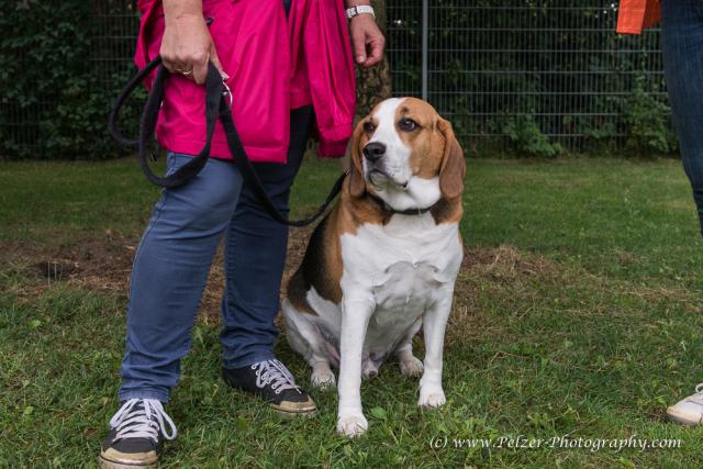 THWI_80D5325_04Sep2016