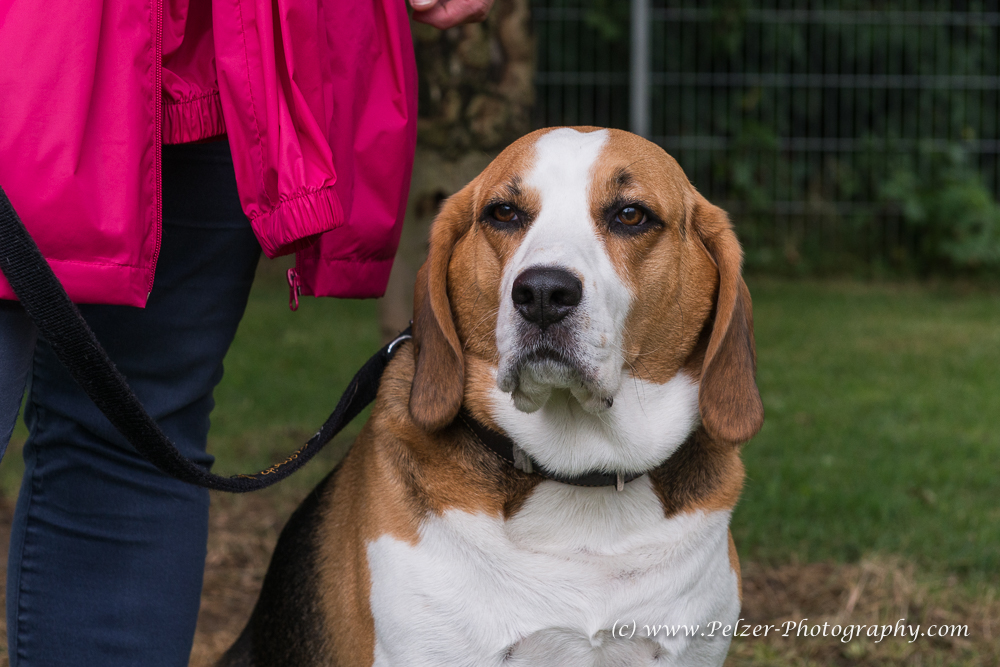 THWI_80D5326_04Sep2016