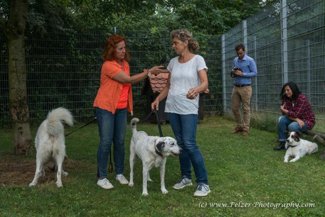 THWI_80D5334_04Sep2016