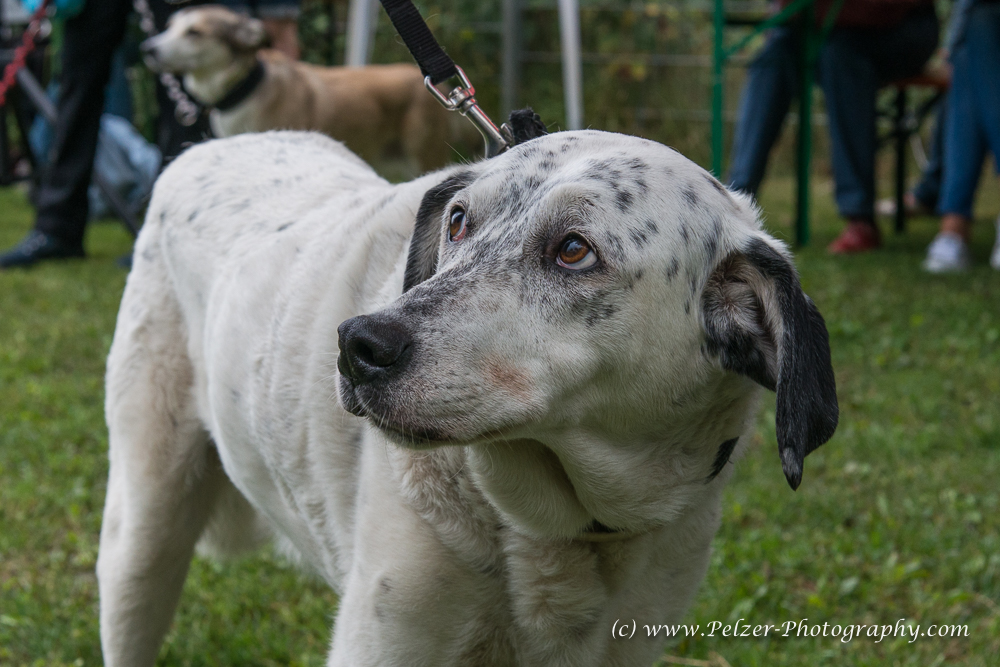 THWI_80D5338_04Sep2016