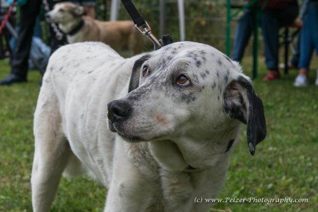 THWI_80D5338_04Sep2016