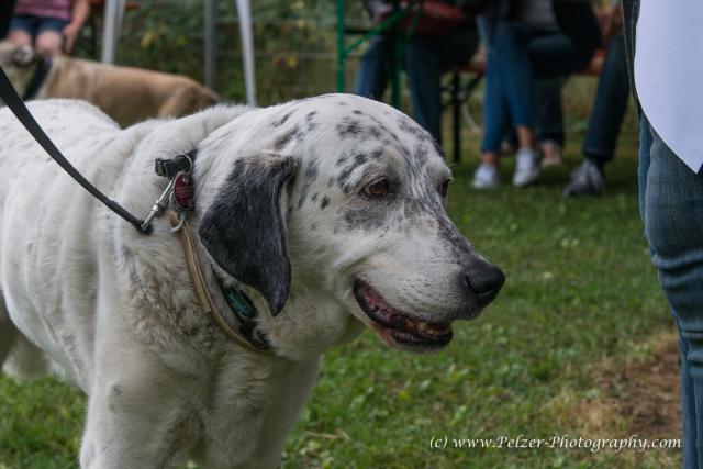 THWI_80D5342_04Sep2016