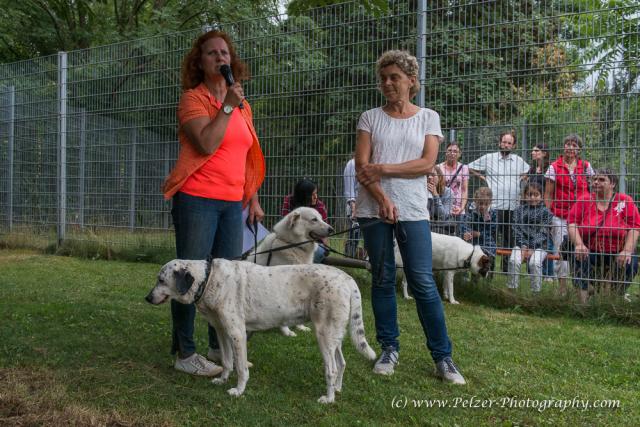 THWI_80D5343_04Sep2016