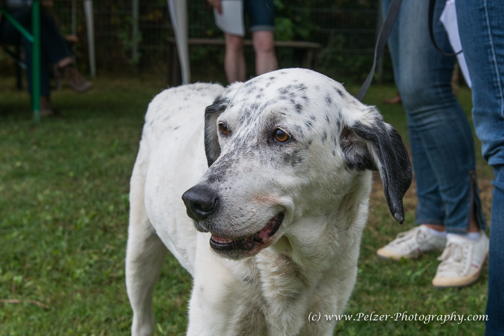 THWI_80D5347_04Sep2016