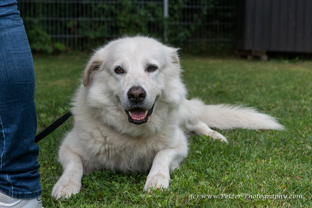 THWI_80D5351_04Sep2016