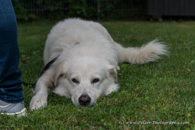 THWI_80D5353_04Sep2016