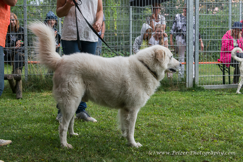 THWI_80D5363_04Sep2016