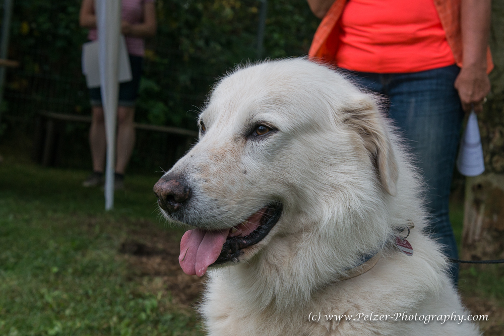 THWI_80D5368_04Sep2016