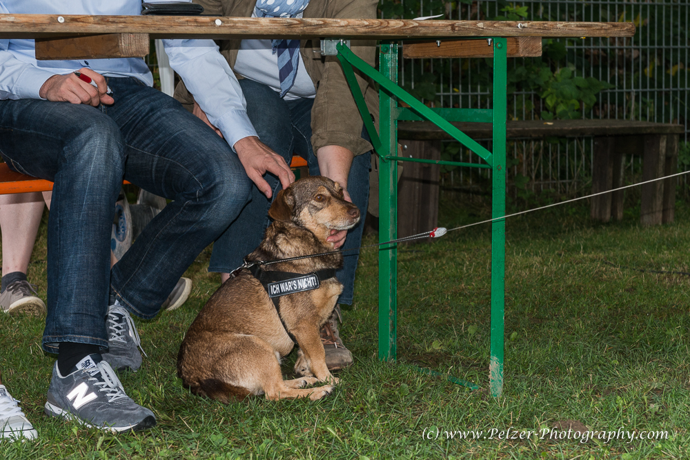 THWI_80D5369_04Sep2016