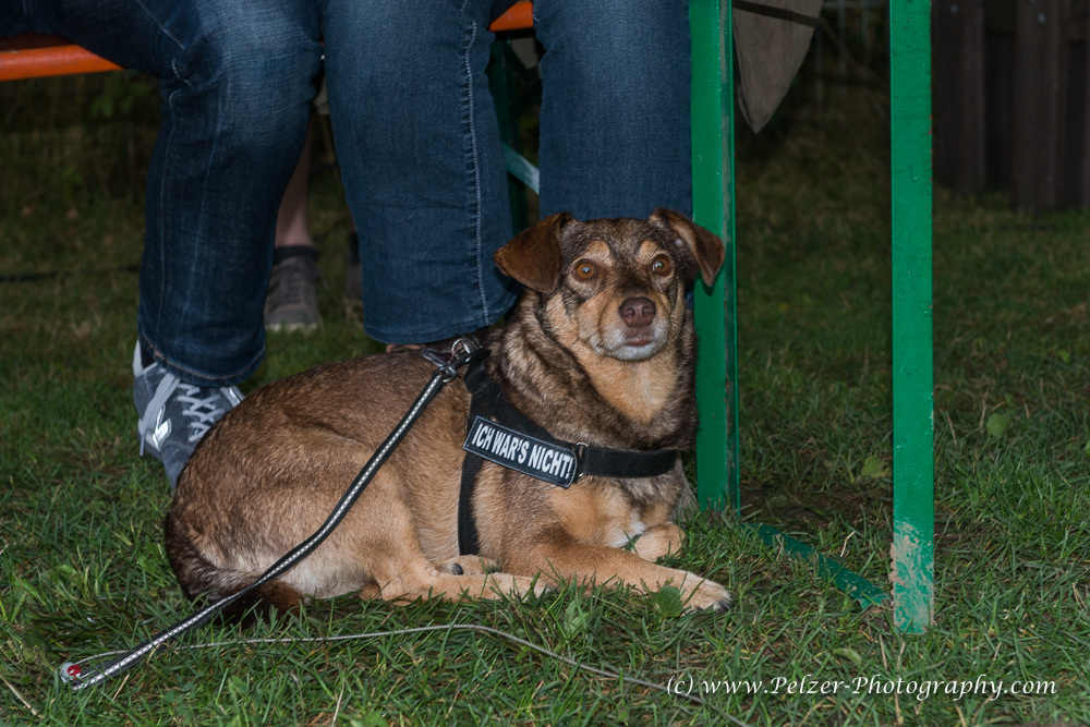 THWI_80D5374_04Sep2016